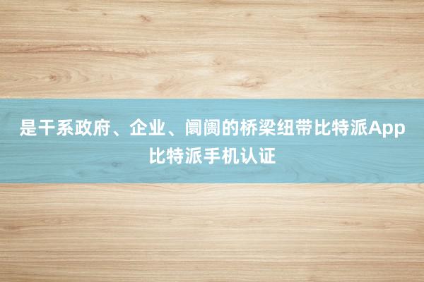 是干系政府、企业、阛阓的桥梁纽带比特派App比特派手机认证