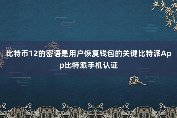 比特币12的密语是用户恢复钱包的关键比特派App比特派手机认证