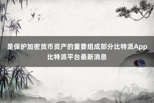 是保护加密货币资产的重要组成部分比特派App比特派平台最新消息