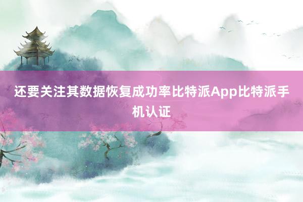 还要关注其数据恢复成功率比特派App比特派手机认证