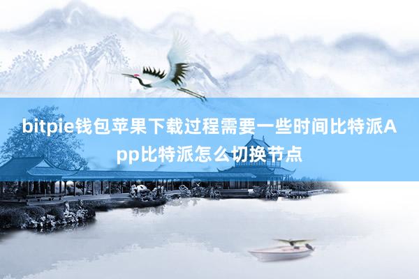 bitpie钱包苹果下载过程需要一些时间比特派App比特派怎么切换节点