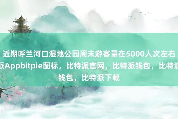 近期呼兰河口湿地公园周末游客量在5000人次左右比特派Appbitpie图标，比特派官网，比特派钱包，比特派下载