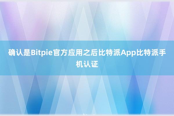 确认是Bitpie官方应用之后比特派App比特派手机认证