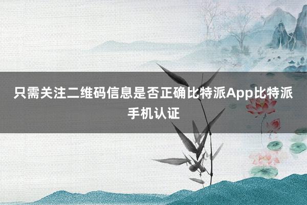 只需关注二维码信息是否正确比特派App比特派手机认证