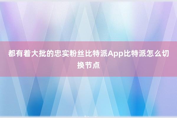 都有着大批的忠实粉丝比特派App比特派怎么切换节点