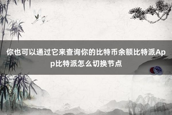 你也可以通过它来查询你的比特币余额比特派App比特派怎么切换节点