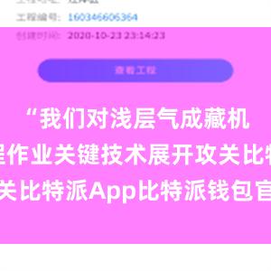 “我们对浅层气成藏机理和工程作业关键技术展开攻关比特派App比特派钱包官网网址