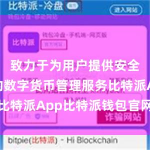 致力于为用户提供安全、便捷的数字货币管理服务比特派App比特派钱包官网网址