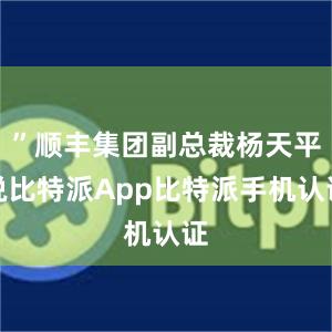 ”顺丰集团副总裁杨天平说比特派App比特派手机认证