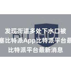 发现街道多处下水口被垃圾堵塞比特派App比特派平台最新消息