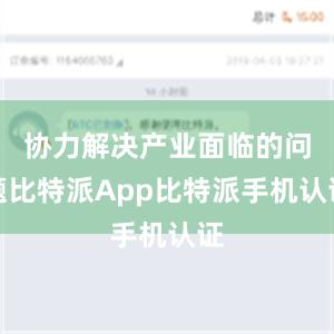 协力解决产业面临的问题比特派App比特派手机认证