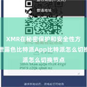 XMR在秘密保护和安全性方面透泄露色比特派App比特派怎么切换节点