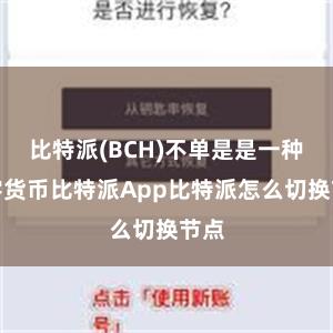 比特派(BCH)不单是是一种数字货币比特派App比特派怎么切换节点