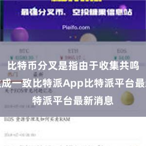 比特币分叉是指由于收集共鸣无法达成一致比特派App比特派平台最新消息